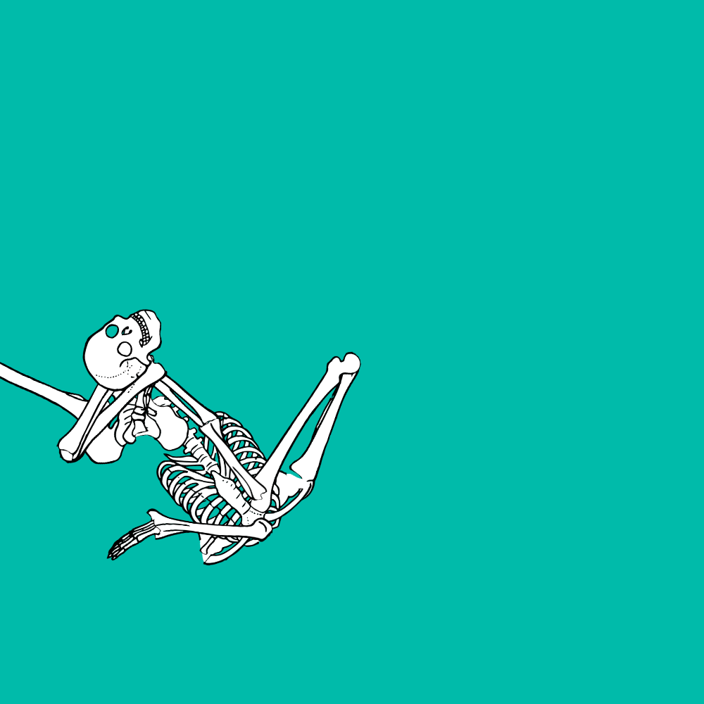Dem bones dem bones dem – dry bones!