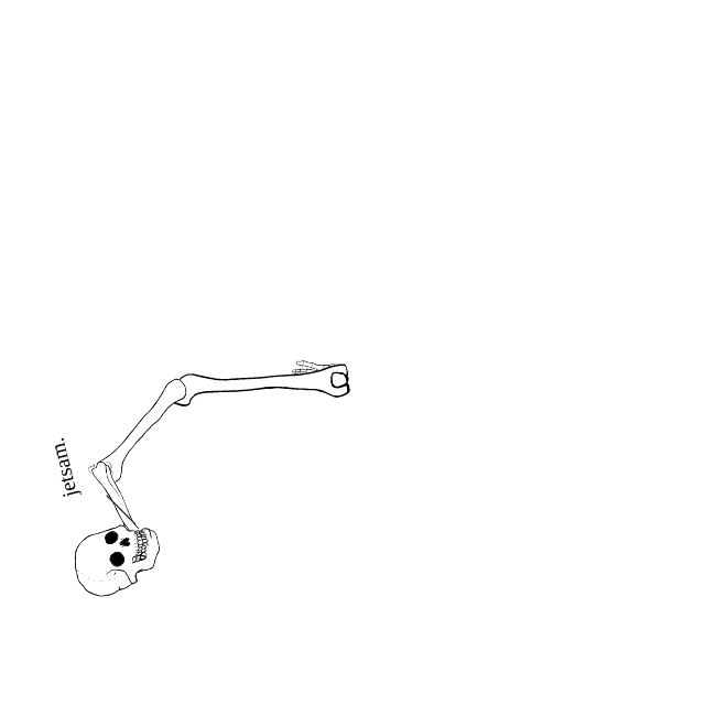 Dem bones dem bones dem – dry bones!