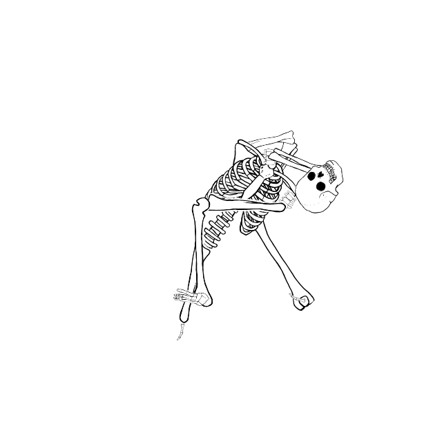 Dem bones dem bones dem – dry bones!