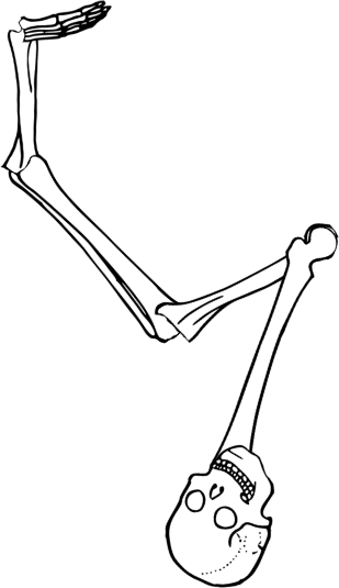 Dem bones dem bones dem – dry bones!
