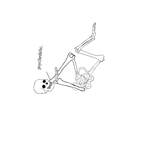 Dem bones dem bones dem – dry bones!