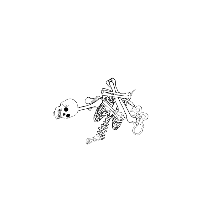 Dem bones dem bones dem – dry bones!