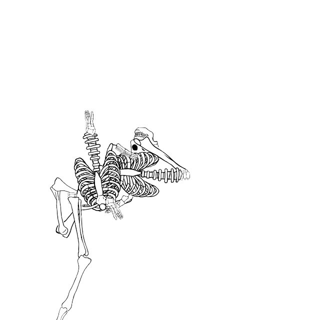 Dem bones dem bones dem – dry bones!