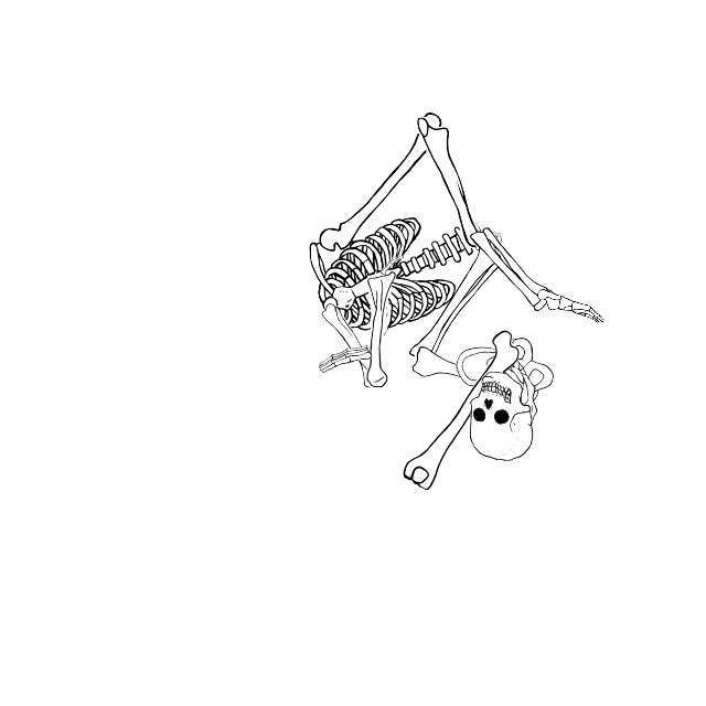 Dem bones dem bones dem – dry bones!