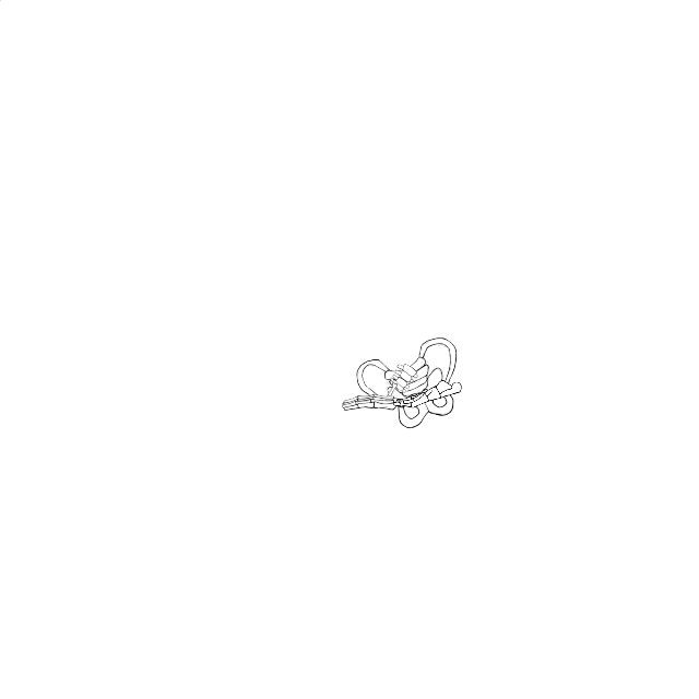 Dem bones dem bones dem – dry bones!