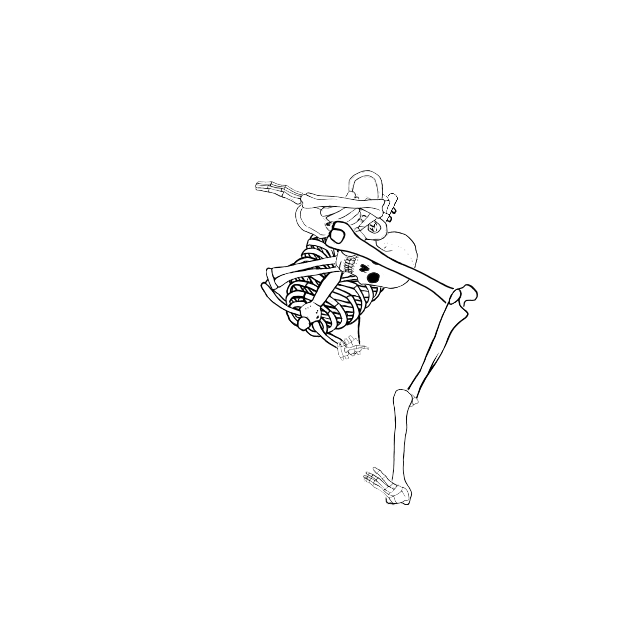 Dem bones dem bones dem – dry bones!