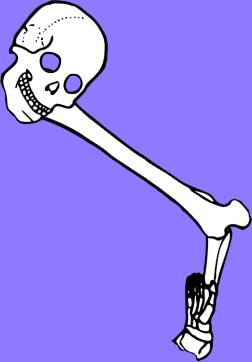 Dem bones dem bones dem – dry bones!