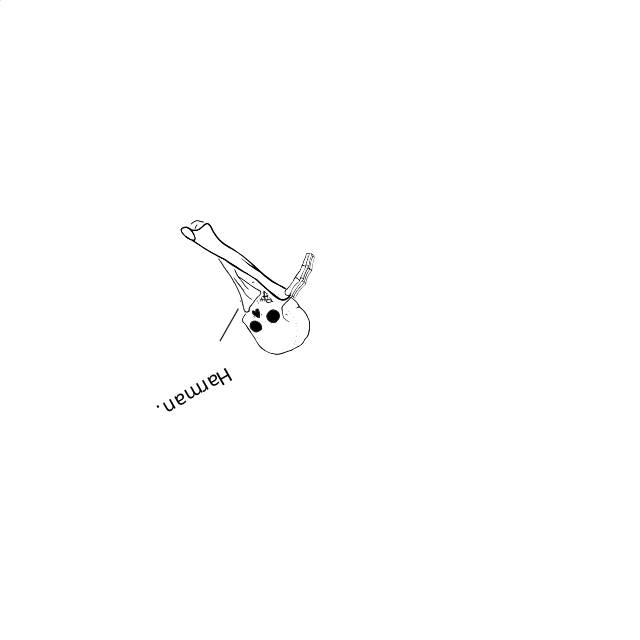 Dem bones dem bones dem – dry bones!