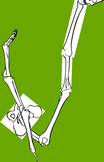 Dem bones dem bones dem – dry bones!
