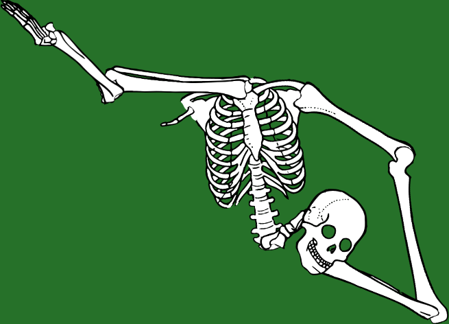 Dem bones dem bones dem – dry bones!