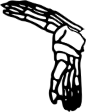 Dem bones dem bones dem – dry bones!
