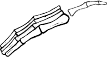 Dem bones dem bones dem – dry bones!