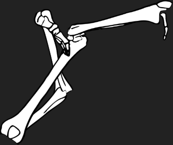 Dem bones dem bones dem – dry bones!