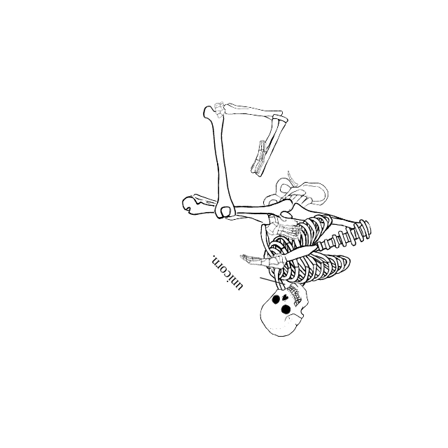 Dem bones dem bones dem – dry bones!