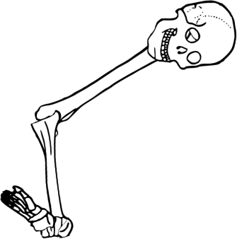 Dem bones dem bones dem – dry bones! Dem bones dem bones dem – extra bones!