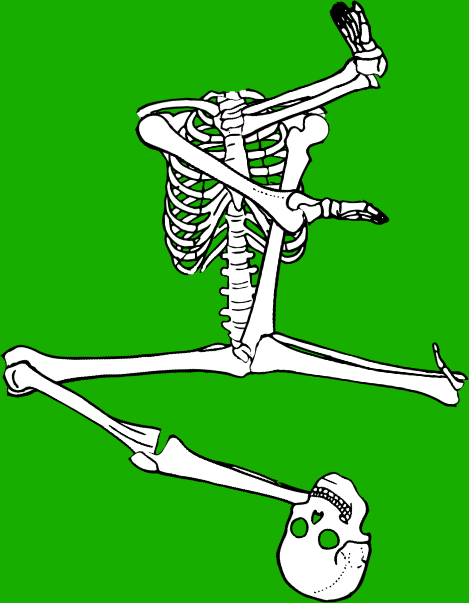 Dem bones dem bones dem – dry bones!