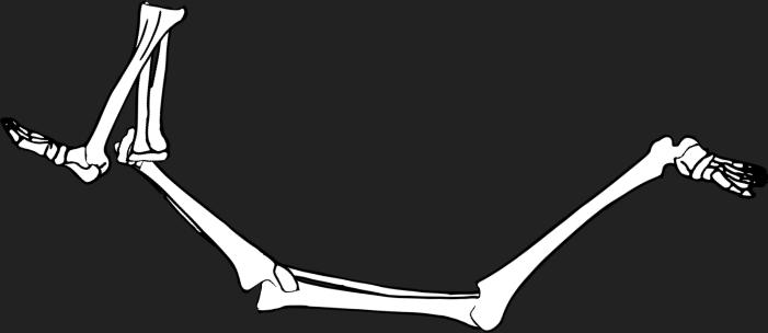 Dem bones dem bones dem – dry bones!