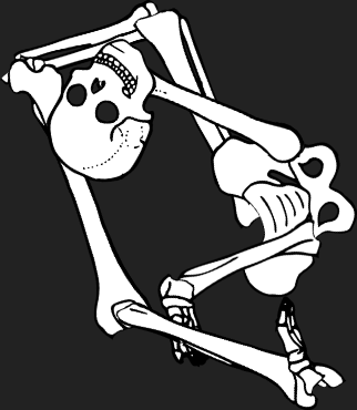 Dem bones dem bones dem – dry bones!