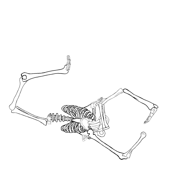 Dem bones dem bones dem – dry bones!