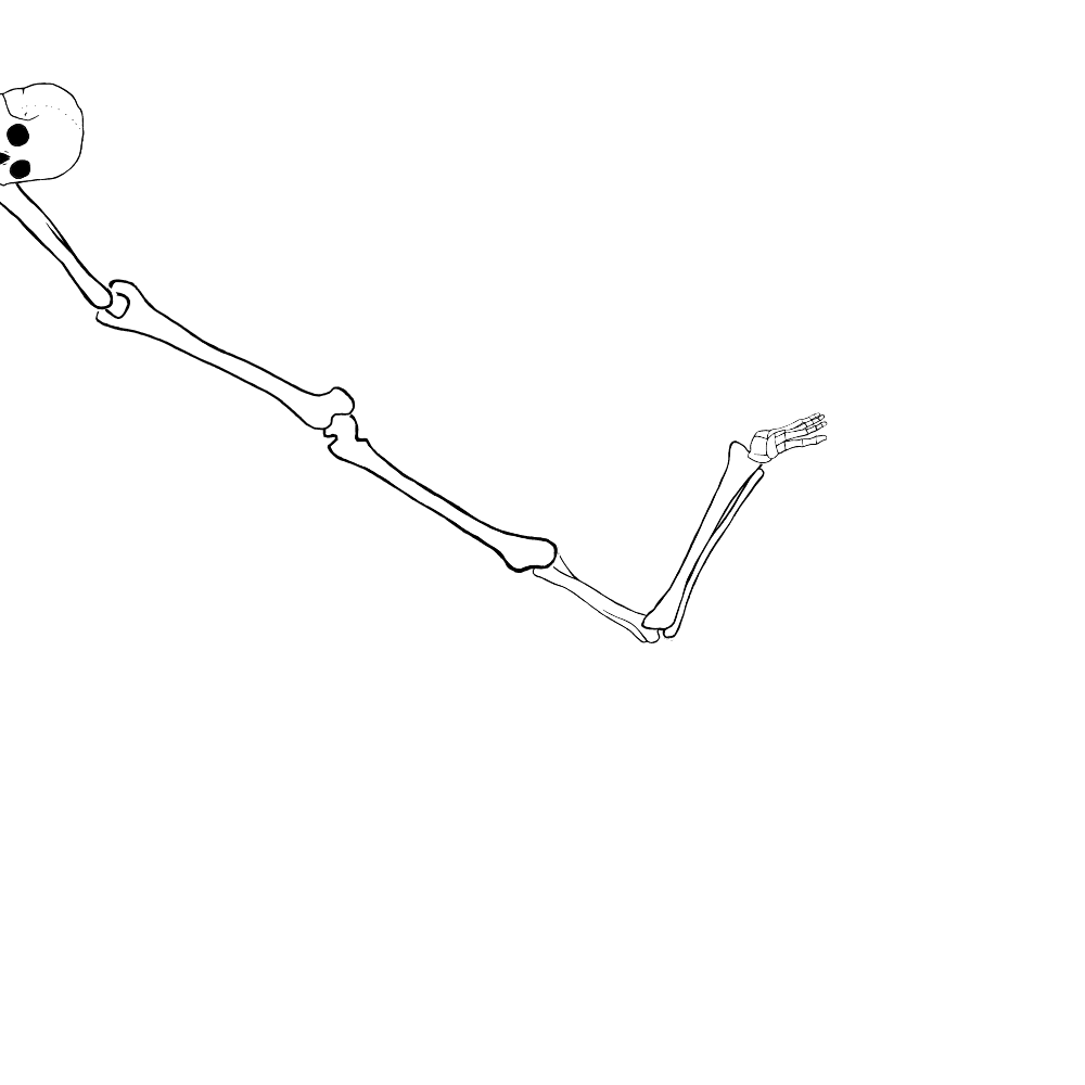 Dem bones dem bones dem – dry bones!