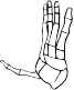Dem bones dem bones dem – dry bones!