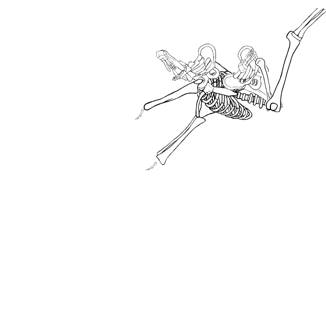 Dem bones dem bones dem – dry bones!