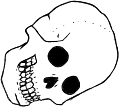Dem bones dem bones dem – dry bones!