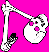 Dem bones dem bones dem – dry bones!