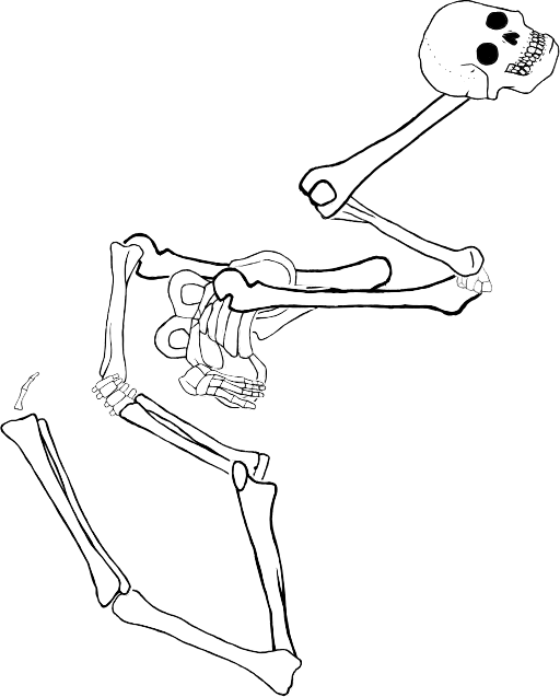 Dem bones dem bones dem – dry bones!