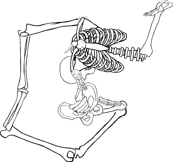 Dem bones dem bones dem – dry bones!
