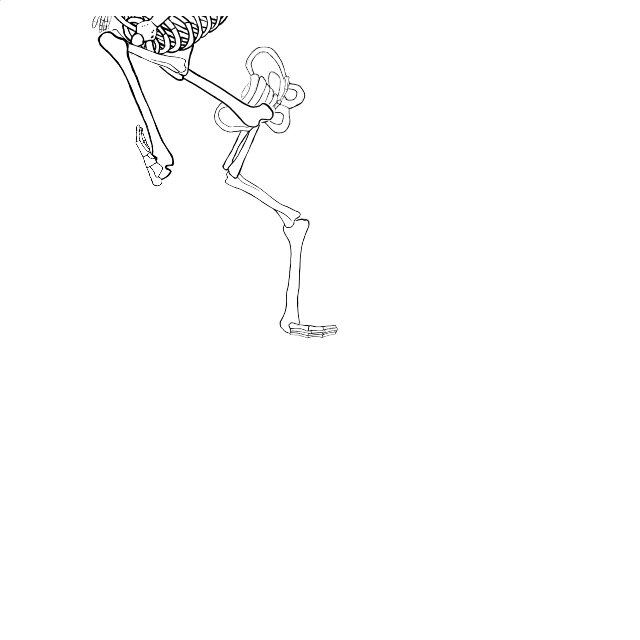 Dem bones dem bones dem – dry bones!