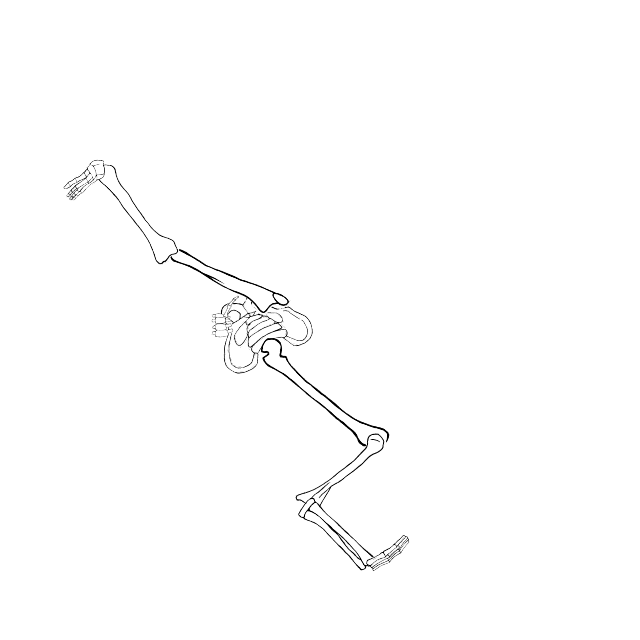 Dem bones dem bones dem – dry bones!