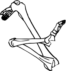 Dem bones dem bones dem – dry bones!