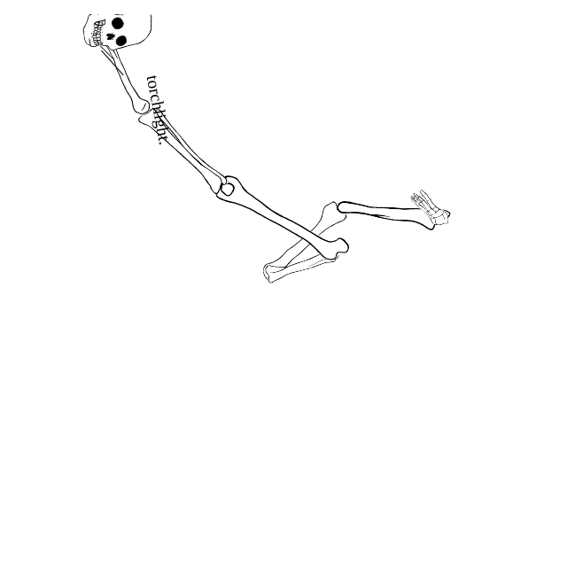 Dem bones dem bones dem – dry bones!