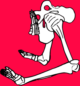 Dem bones dem bones dem – dry bones!