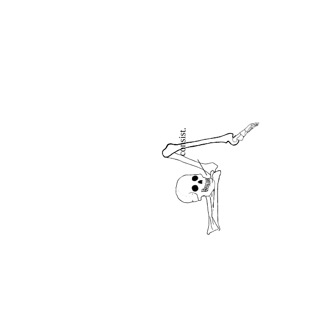 Dem bones dem bones dem – dry bones!