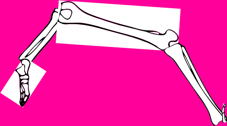 Dem bones dem bones dem – dry bones!