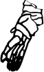 Dem bones dem bones dem – dry bones!