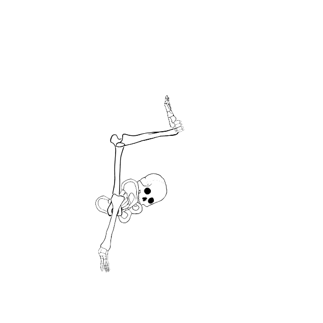 Dem bones dem bones dem – dry bones!
