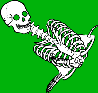Dem bones dem bones dem – dry bones!