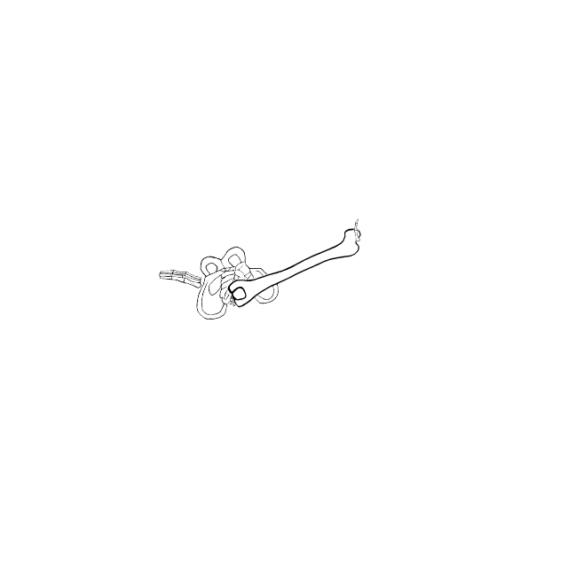Dem bones dem bones dem – dry bones!
