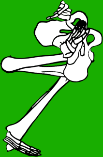 Dem bones dem bones dem – dry bones!