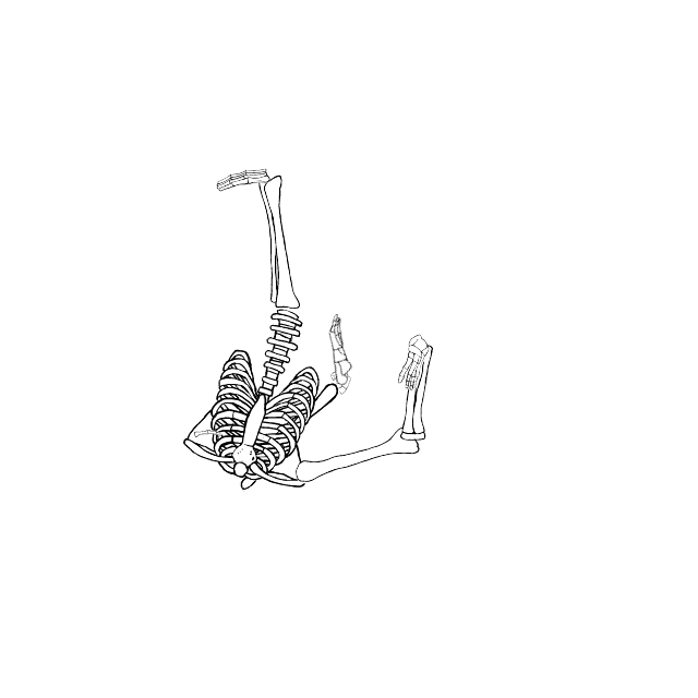 Dem bones dem bones dem – dry bones!