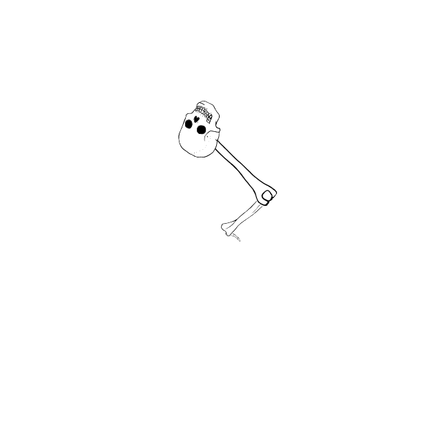 Dem bones dem bones dem – dry bones!