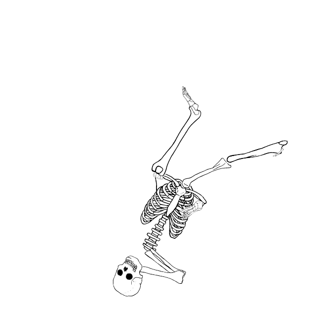 Dem bones dem bones dem – dry bones!