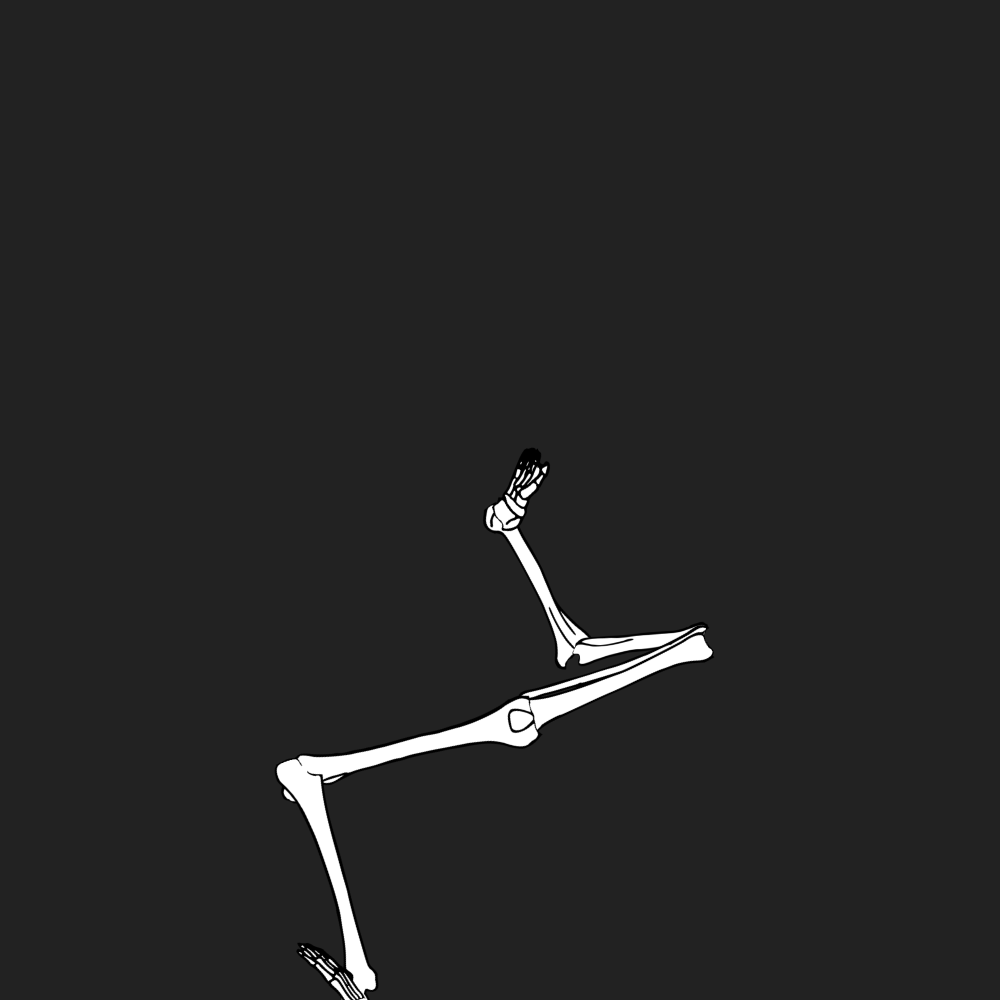 Dem bones dem bones dem – dry bones!