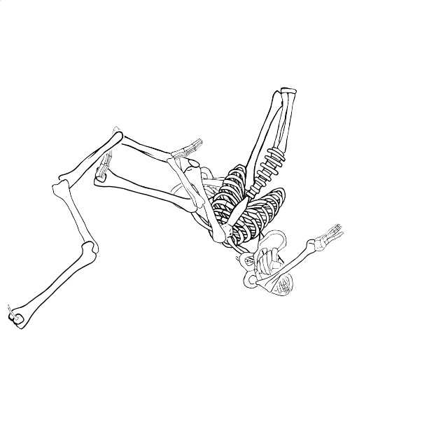 Dem bones dem bones dem – dry bones!