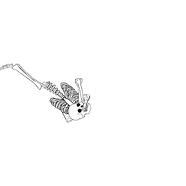 Dem bones dem bones dem – dry bones!
