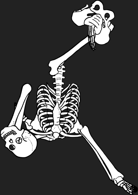 Dem bones dem bones dem – dry bones!
