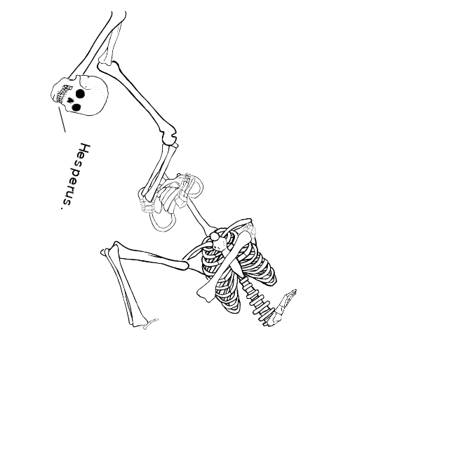 Dem bones dem bones dem – dry bones!
